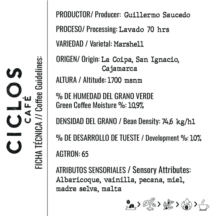 Marshell / Guillermo Saucedo
