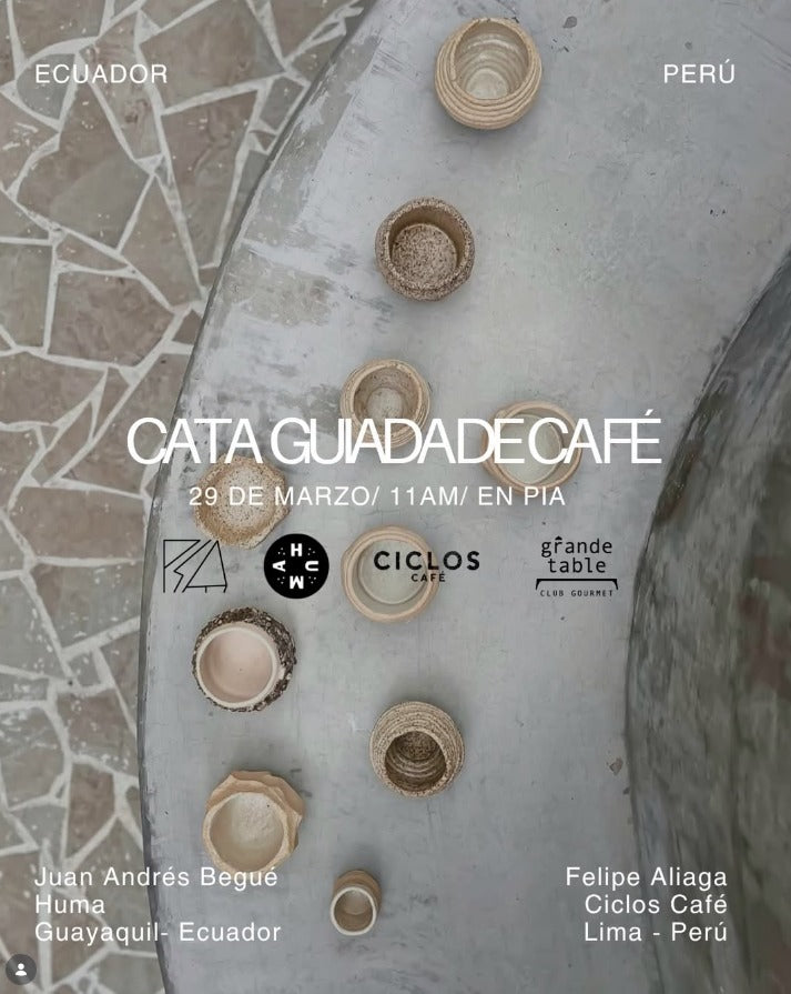 Cata Guíada de Café